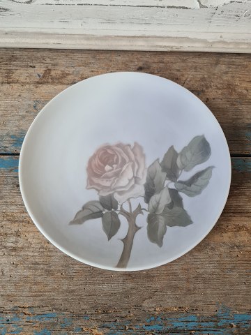 Royal Copenhagen Art Nouveau vægtallerken dekoreret med roseNo. 81/1120