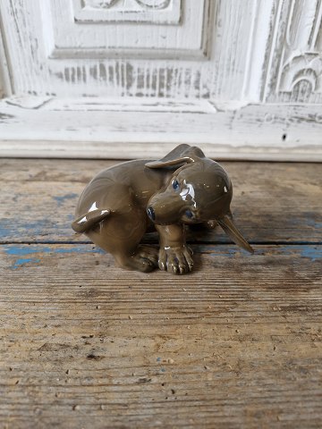 Royal Copenhagen figur Gravhundehvalp No. 1407