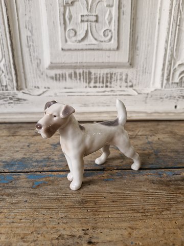 B&G figur Ruhåret Fox terrier no. 2072