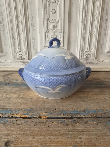 Porcelæn & Fajance