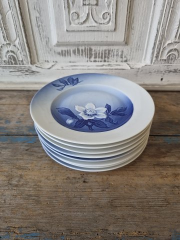 Porcelæn & Fajance