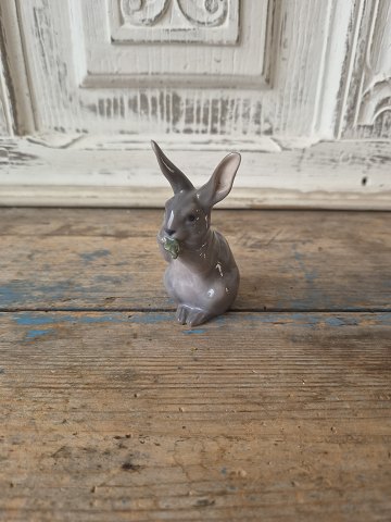Porcelæn & Fajance